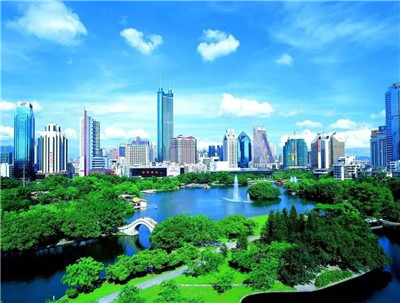 探索广州抓龙筋的神秘之旅